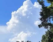 青岛天气预报,青岛7天天气预报,青岛15天天气预报,青岛天气查询